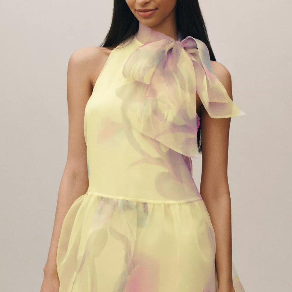 BHLDN Sophia High-Neck Bow-Tie Organza Mini Dress